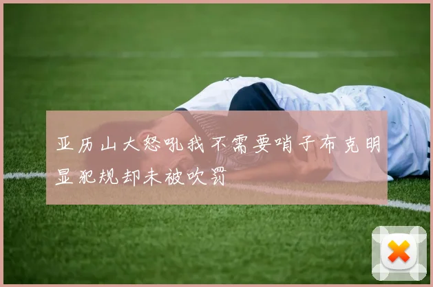 亚历山大怒吼我不需要哨子布克明显犯规却未被吹罚